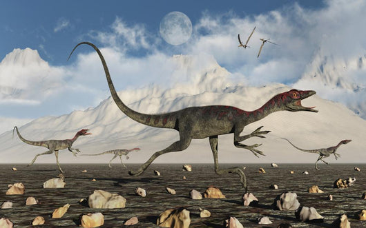 Pack Carnivorous Compsognathus Dinosaurs Wall Decal