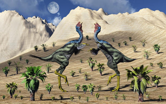 Pair Caudipteryx Feathered Dinosaurs Wall Decal