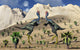 Pair Caudipteryx Feathered Dinosaurs Wall Decal