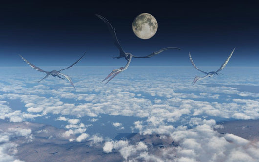 Giant Quetzalcoatlus Pterosaurs Flying Wall Decal