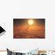 Giant Quetzalcoatlus Pterosaurs Flying Evening Wall Decal