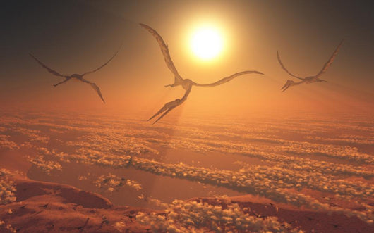 Giant Quetzalcoatlus Pterosaurs Flying Evening Wall Decal