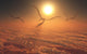 Giant Quetzalcoatlus Pterosaurs Flying Evening Wall Decal