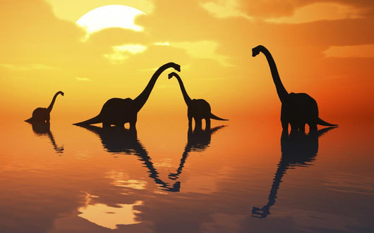 Silhouetted Shapes Sauropod Dinosaurs Evening Wall Decal