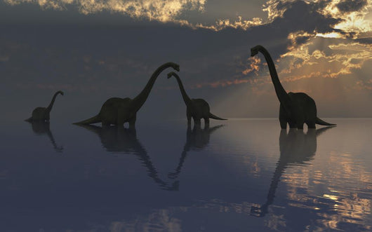 Silhouetted Shapes Sauropod Dinosaurs Wall Decal