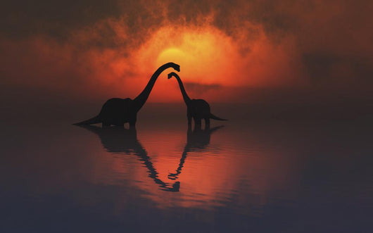 Silhouetted Shapes Sauropod Dinosaurs Pair Wall Decal