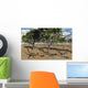 Pack Tyrannosaurid Dilong Dinosaurs Forest Wall Decal