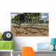 Pack Tyrannosaurid Dilong Dinosaurs Forest Wall Decal