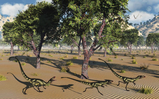 Pack Tyrannosaurid Dilong Dinosaurs Forest Wall Decal