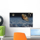 Giant Asteroid Burning up Night Wall Decal