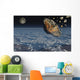 Giant Asteroid Burning up Night Wall Decal