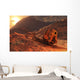 Fossilized Skeleton T-rex Dinosaur Evening Wall Decal