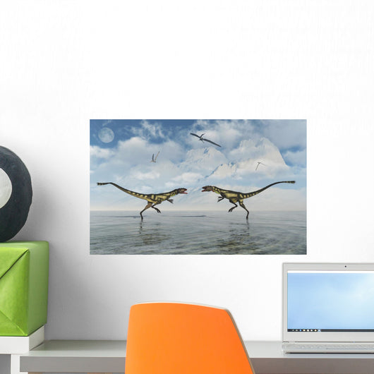 Territorial Dispute between Two Wall Decal