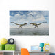 Territorial Dispute between Two Wall Decal