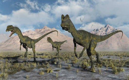Small Pack Dilophosaurus Dinosaurs Close-up Wall Decal