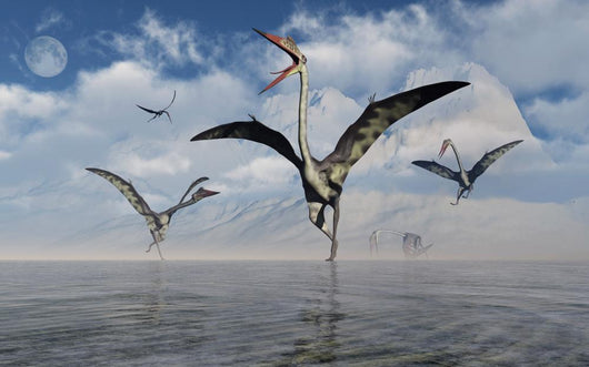 Gathering Large Quetzalcoatlus Pterosaurs Wall Decal