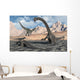 Allosaurus Waits for Its Wall Decal