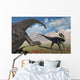 Large Diplodocus Dinosaur Confronting Wall Decal