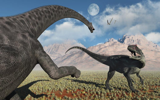 Large Diplodocus Dinosaur Confronting Wall Decal