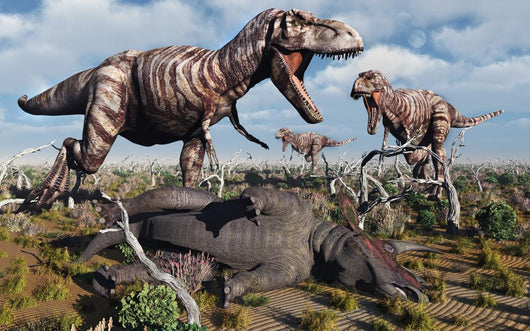 Pack Carnivorous T-rex Dinosaurs Wall Decal