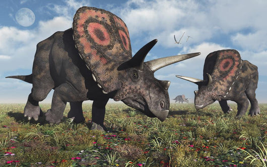 Torosaurus Dinosaurs during Earth's Close-up Wall Decal