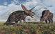 Torosaurus Dinosaurs during Earth's Wall Decal