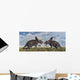 Pair Torosaurus Dinosaurs Involved Wall Decal