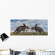 Pair Torosaurus Dinosaurs Involved Wall Decal