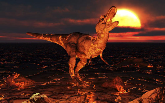 Dinosaur Covered Lava during Wall Decal