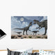 Pack Allosaurus Dinosaurs from Wall Decal