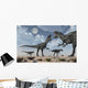 Pack Allosaurus Dinosaurs from Wall Decal