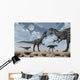 Pack Allosaurus Dinosaurs from Wall Decal