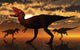 Pack Tyrannosaurus Rex Dinosaurs Evening Wall Decal