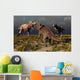 Pair T-rex Dinosaurs Attacking Evening Wall Decal