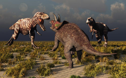 Pair T-rex Dinosaurs Attacking Evening Wall Decal