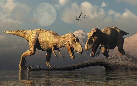 Pair T-rex Dinosaurs Horizontal Wall Decal