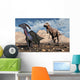 Carnivorous T-rex Chasing Lone Wall Decal