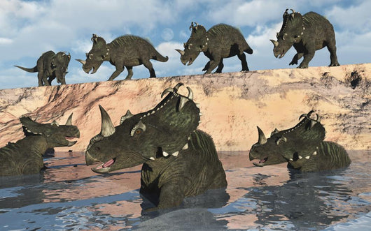 Herd Centrosaurus Dinosaurs Crossing Wall Decal