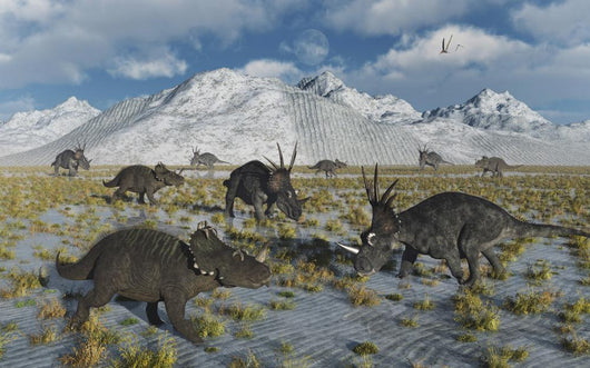 Mixed Herd Centrosaurus and Wall Decal