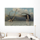 Small Herd Omeisaurus Dinosaurs Wall Decal