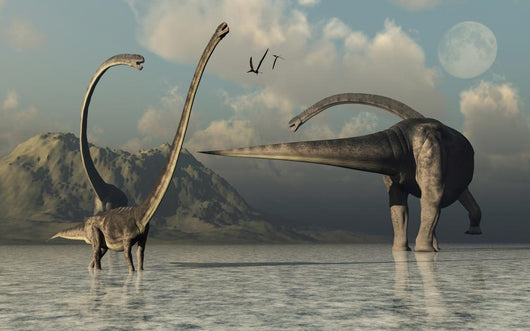 Small Herd Omeisaurus Dinosaurs Wall Decal