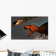 Vicious T-rex Dinosaurs Observing Wall Decal