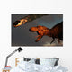 Vicious T-rex Dinosaurs Observing Wall Decal