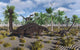Velociraptors Attacking Armored Pinacosaurus Landscape Wall Decal