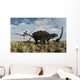 Velociraptors Attacking Armored Pinacosaurus Wall Decal