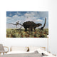 Velociraptors Attacking Armored Pinacosaurus Wall Decal