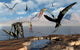 Flock Quetzalcoatlus during Earth's Wall Decal