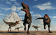 Herd Carnivorous Tarbosaurus Dinosaurs Wall Decal