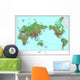 Topographical World Map Wall Mural
