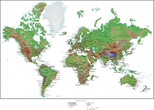 Topographical World Map Wall Mural